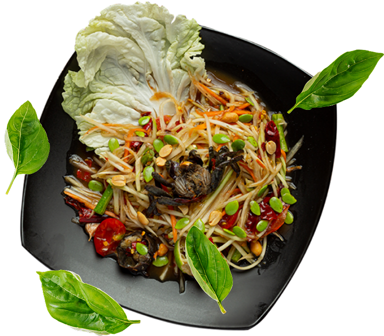 Delicious Dish